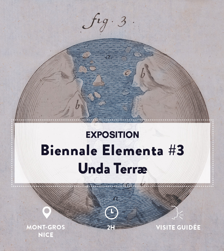 Vignette Elementa